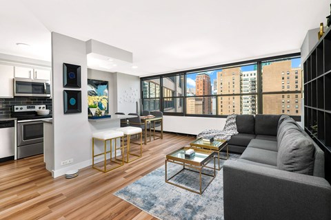1130 S Michigan Ave Studio-2 Beds Apartment for Rent
