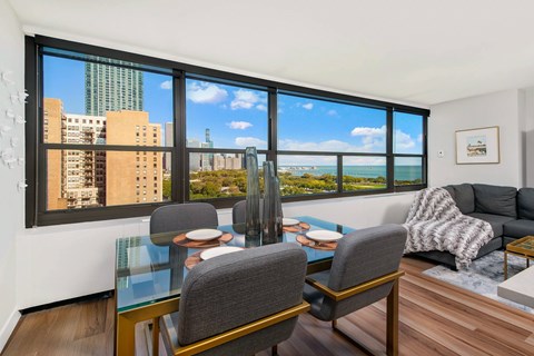 1130 S Michigan Ave Studio-2 Beds Apartment for Rent
