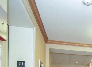 Large hallways with rich wood flooring