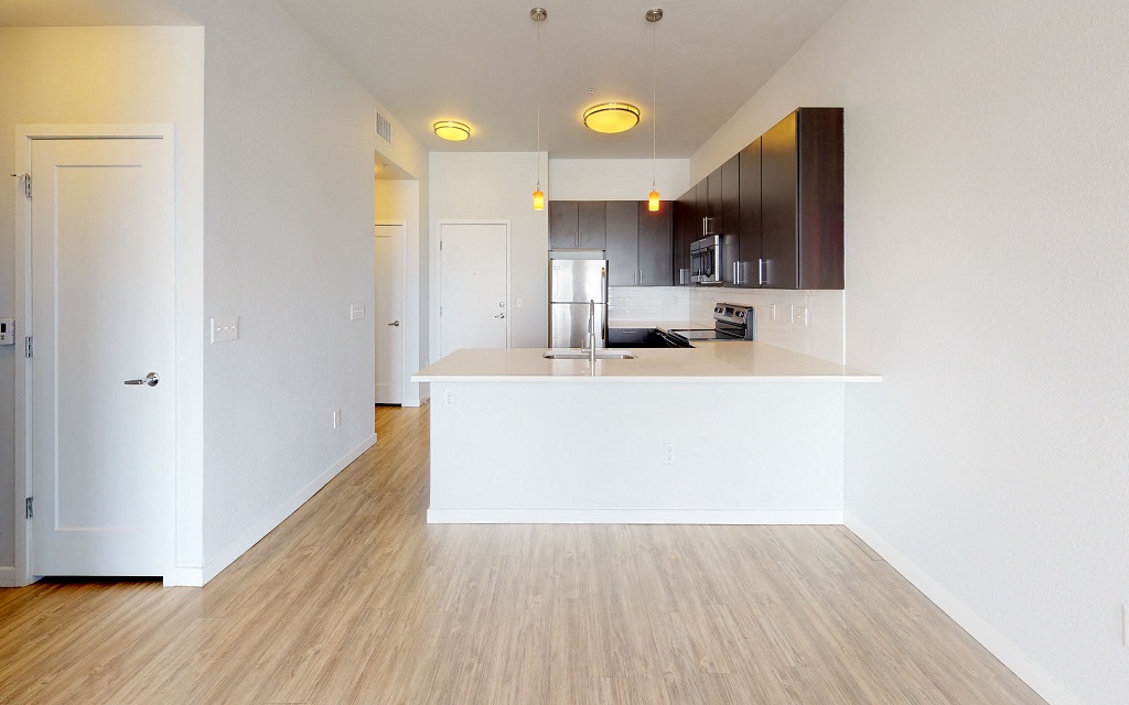 Beautiful kitchen with stainless steel appliances and dishwasher