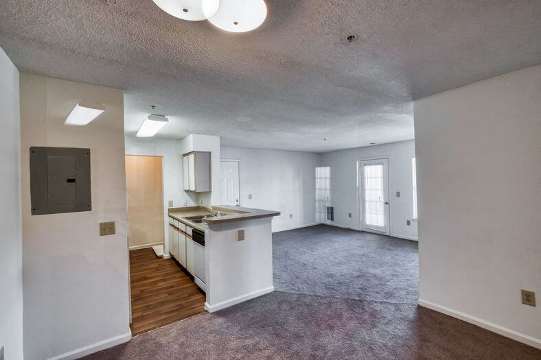 Open living area with plush carpeting