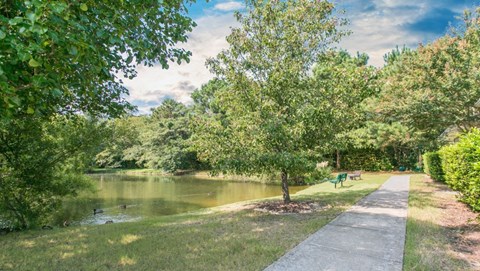 A serene walking trail near the lake