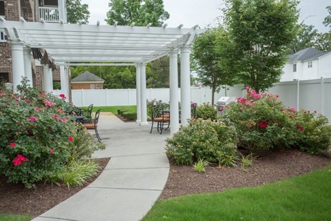 A white pergola is over a walkway in a garden.