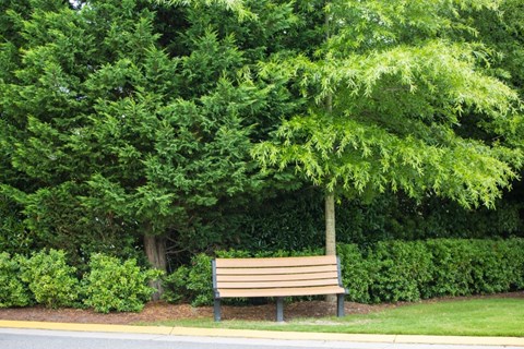 A brown bench sits in front of a green hedge and trees.