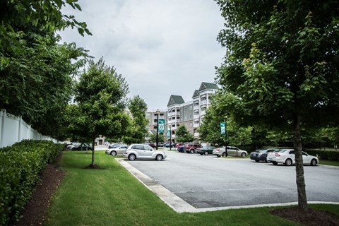 A tree-lined street with cars parked on the side.