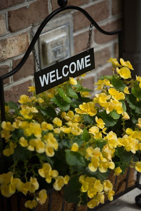 A sign that says "Welcome" hangs above a bush of yellow flowers.