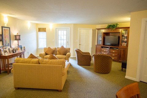 A living room with a yellow couch and a television.
