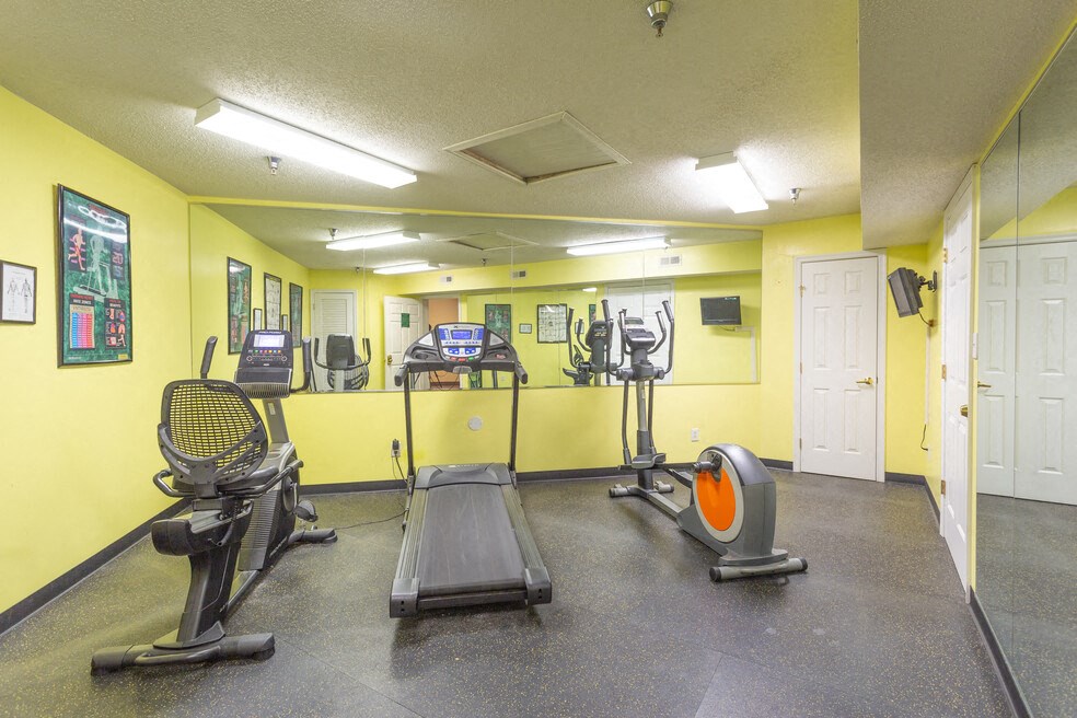 A gym with treadmills, elliptical machines, and other exercise equipment.