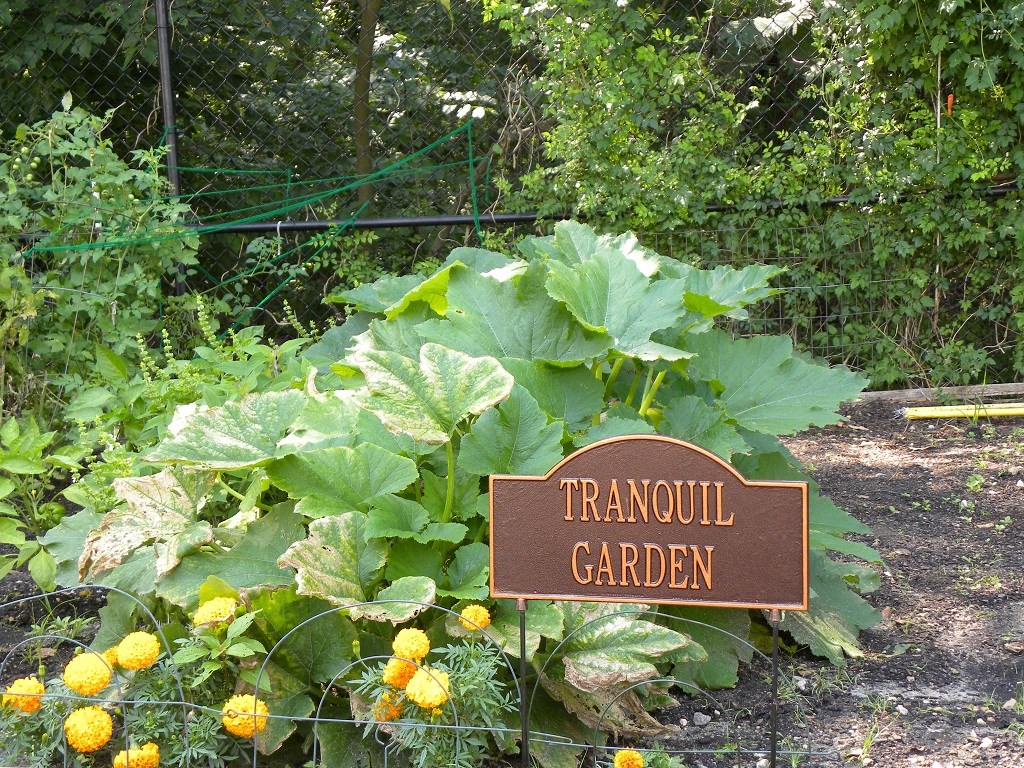 A garden sign that says Tranquil Garden in front of a garden.