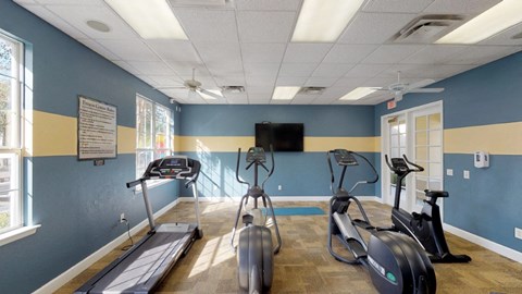 A gym with treadmills, elliptical machines, and a television.