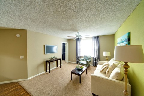 A living room with a couch, a coffee table, and a television.