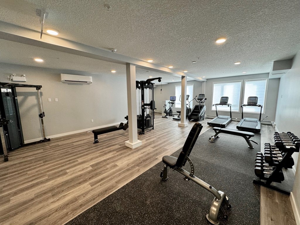 a gym with chairs and weights on the floor and windows