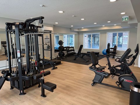 A gym with a variety of equipment including treadmills, weights, and exercise machines.