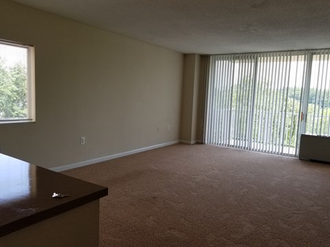 A room with a brown carpet and a window with blinds.
