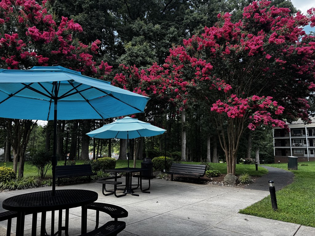 A park with a blue umbrella and a bench.