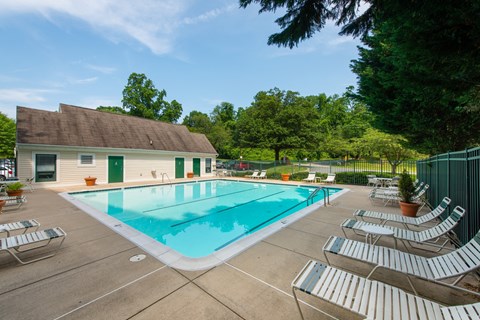 A pool surrounded by chairs and trees.