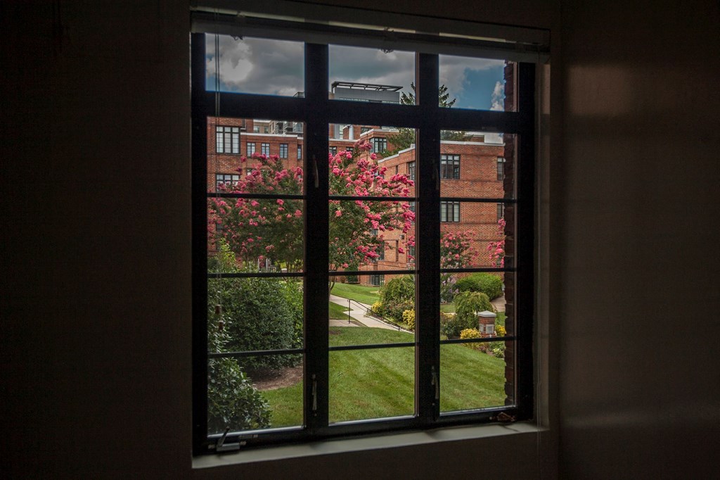 A window with a view of a garden and a building.
