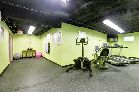 A gym with a green wall and a row of treadmills.