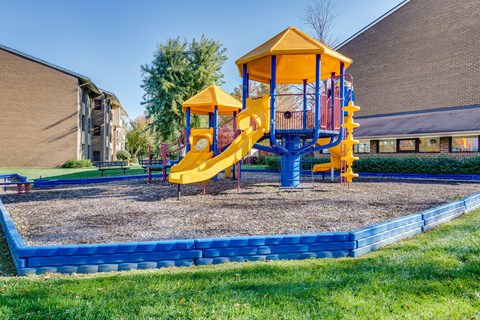 A playground with a yellow slide and blue platform.