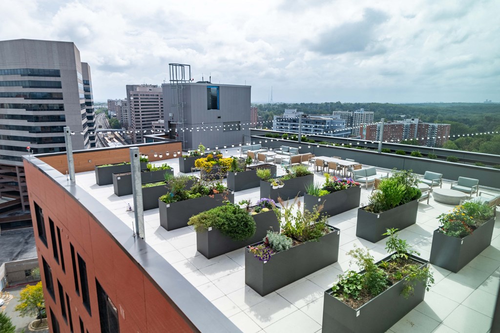a roof terrace with plants and a city in the background