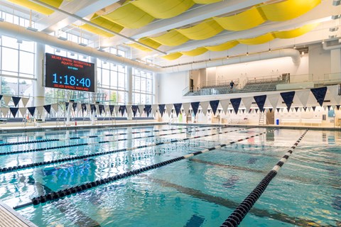 Lap lanes