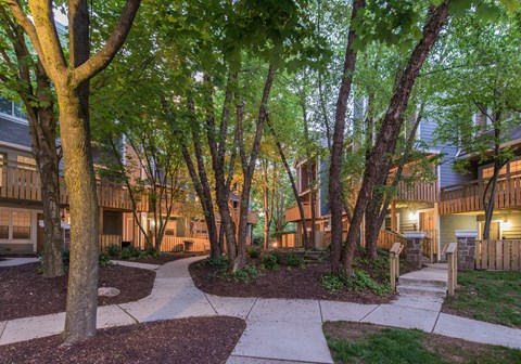 A tree-lined walkway leads to a building.