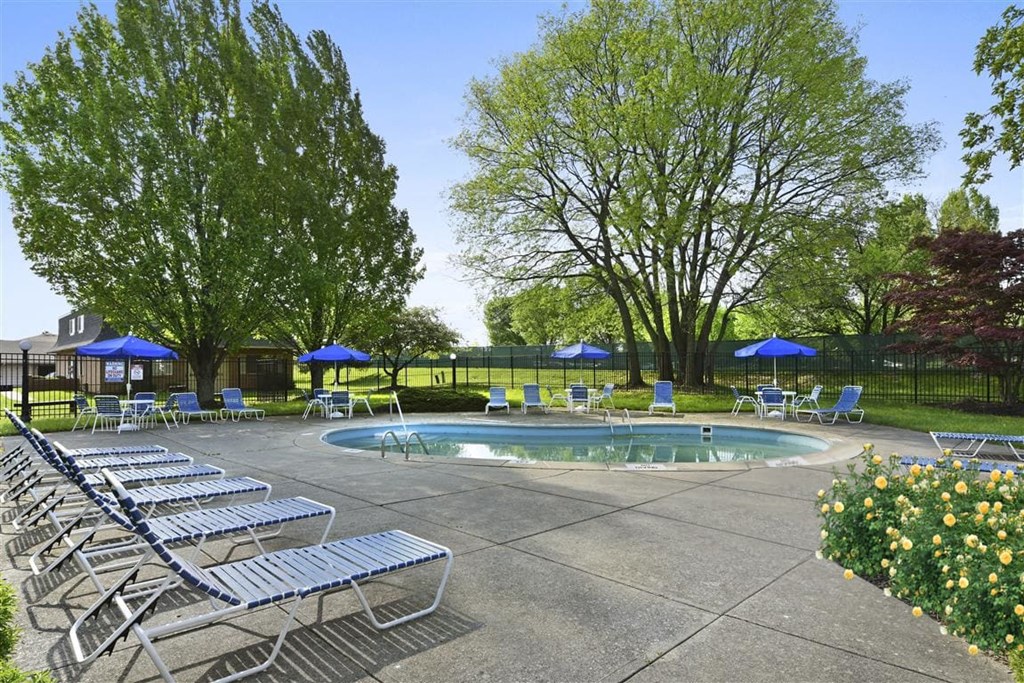 a pool with chairs and umbrellas next to it