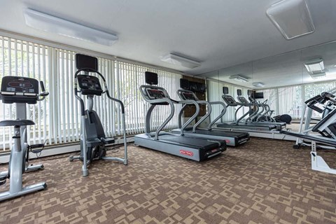 the gym is equipped with a variety of exercise equipment