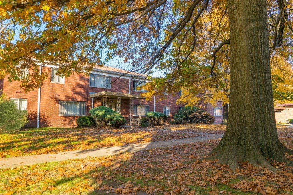 a large tree in front of a brick house