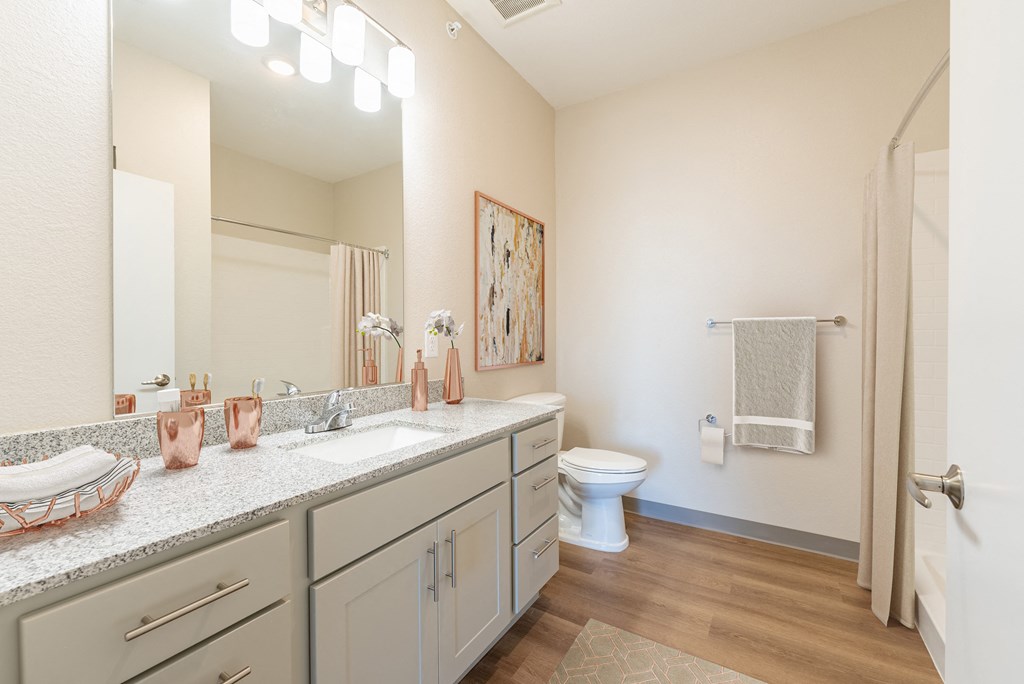 Luxurious Bathroom at Copa Flats, Maricopa, 85138