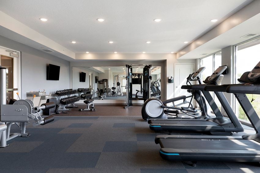 Spring House Apartments, 9401 Springbrook Dr NW, Coon Rapids, MN RentCafe