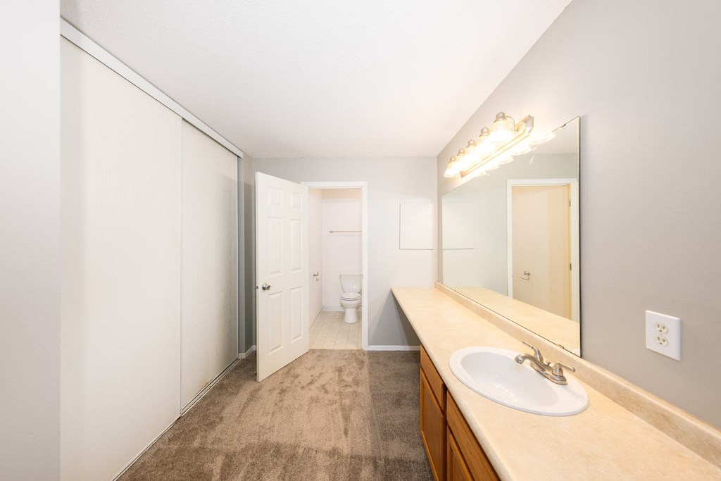 a bathroom with a large mirror and a sink