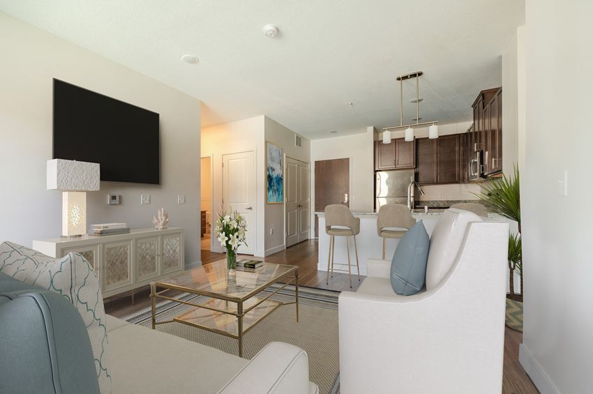 a living room with couches and a coffee table - Photo Gallery