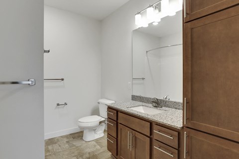 a bathroom with a toilet and a sink and a mirror