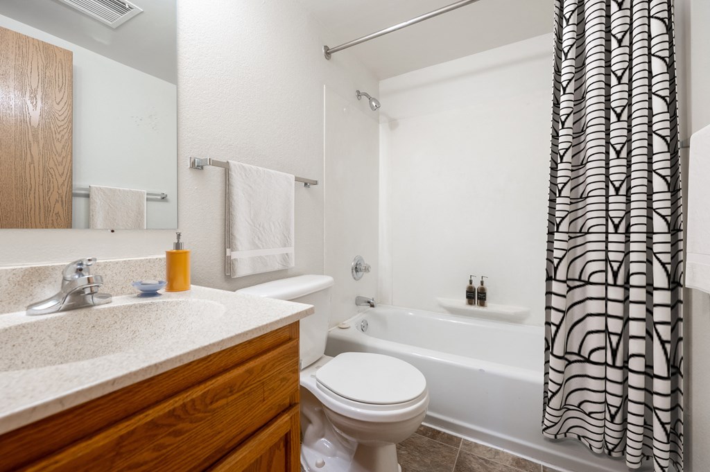 a bathroom with a sink toilet and bathtub at Ames Lake Neighborhood Apartments, St. Paul, MN