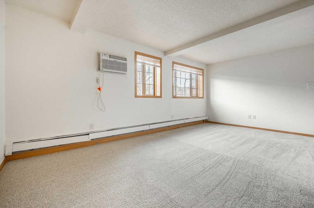 the living room is clean and ready to use at Ames Lake Neighborhood Apartments, St. Paul, 55106