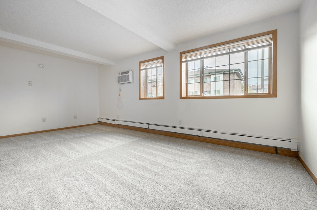 the living room is clean and ready to use at Ames Lake Neighborhood Apartments, St. Paul, Minnesota