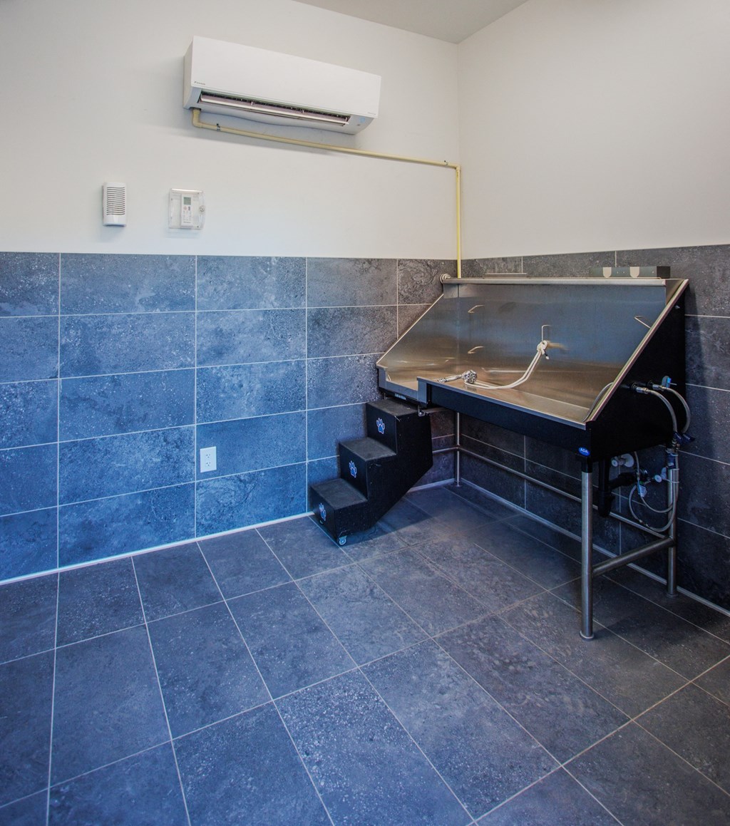 Pet Wash at Copa Flats, Maricopa, 85138