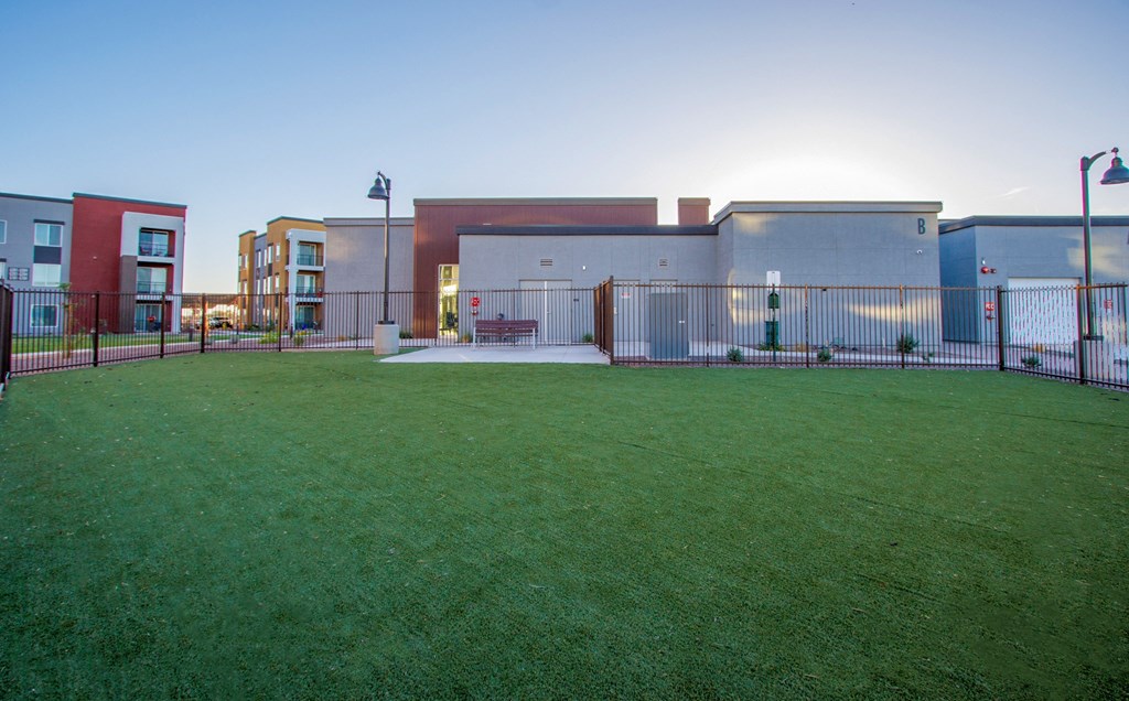 Lush Green Space at Copa Flats, Maricopa, AZ