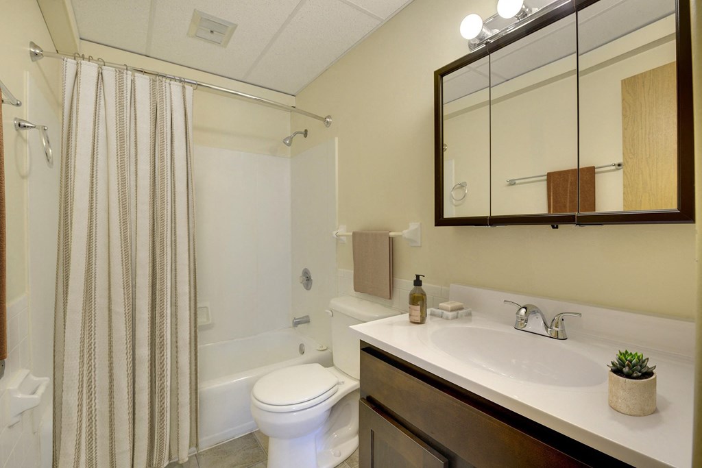the preserve at ballantyne commons apartment bathroom with sink toilet and shower