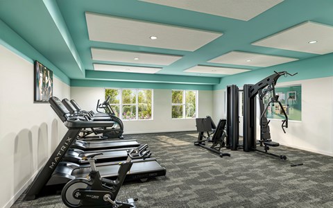 A gym with treadmills and exercise bikes.