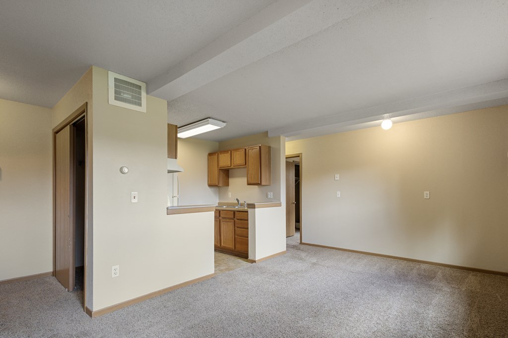 A room with a carpeted floor and a kitchenette in the background at Ames Lake Neighborhood Apartments, St Paul, Minnesota