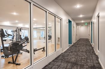 A gym with a row of treadmills and a row of exercise bikes.