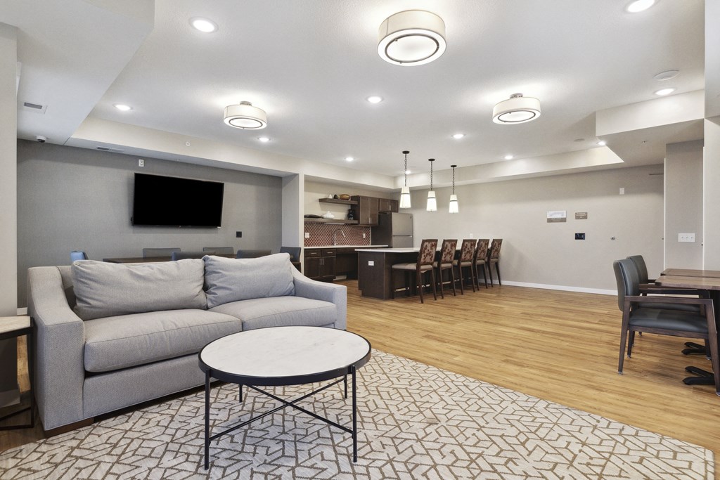 A living room with a grey couch, a coffee table, and a television.
