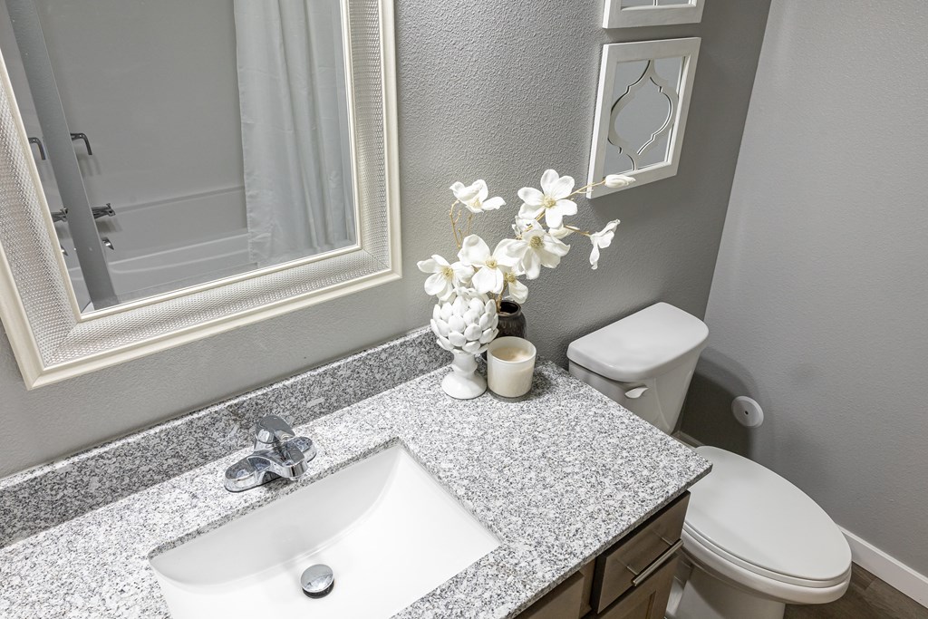 a bathroom with a sink and a toilet and a mirror at Technology Park Apartments, Rochester, 55901