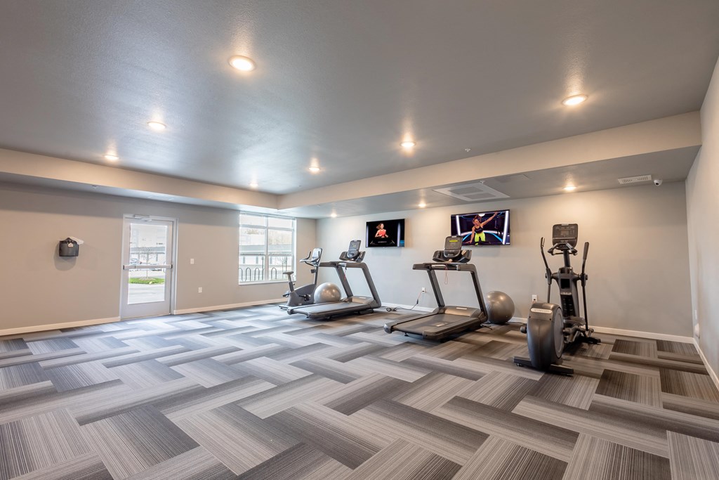 the retreat at thousand oaks fitness room with weights and cardio equipment at Technology Park Apartments, Minnesota, 55901