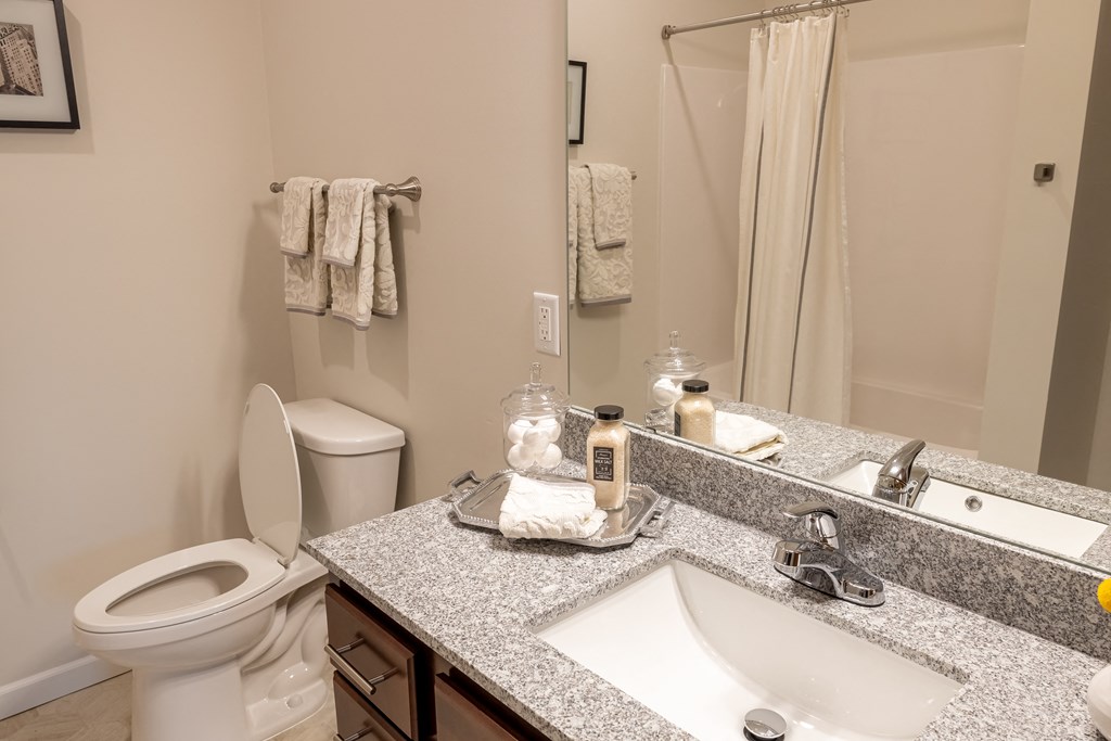 a bathroom with a sink and a toilet and a mirror