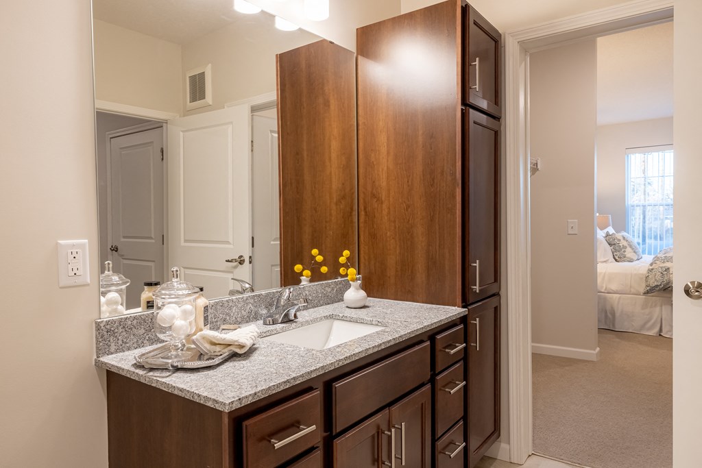 a bathroom with a sink and a mirror and a closet