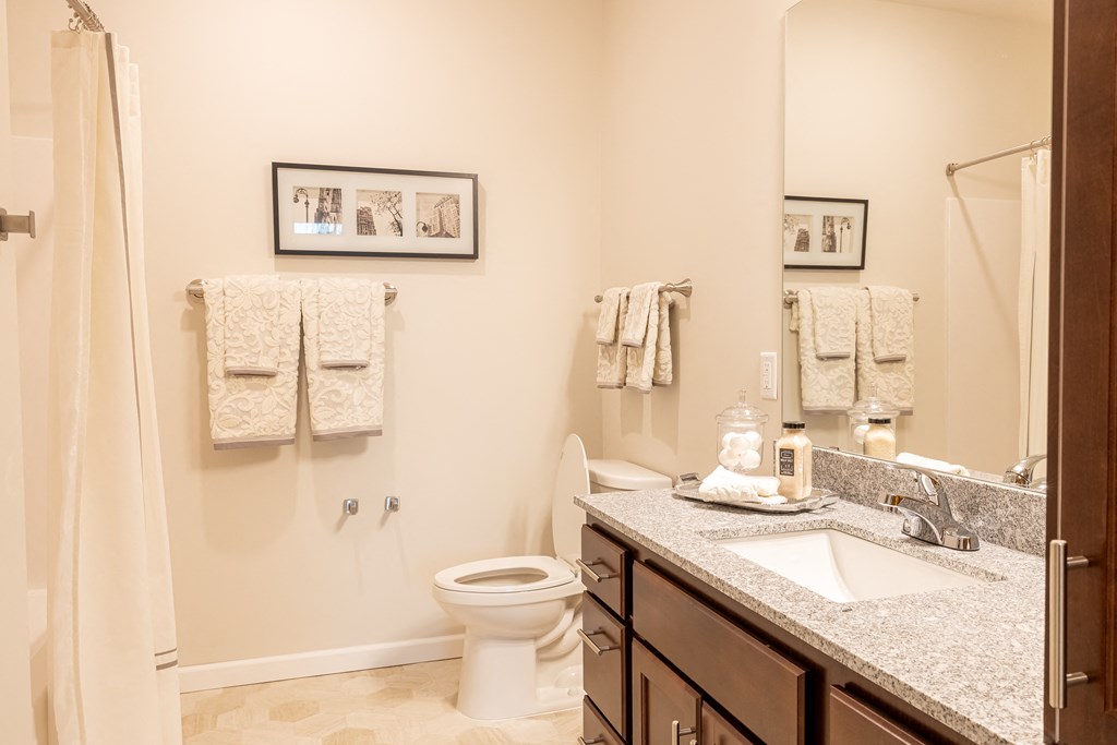 a bathroom with a sink toilet and shower and a mirror