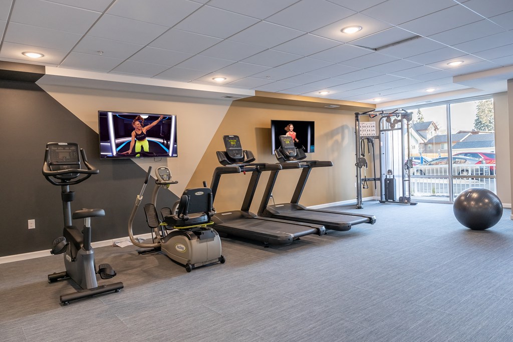 a gym with treadmills and weights and a tv on the wall
